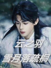 云之羽：雪月落疏桐