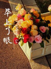 毕上了眼