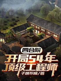 四合院：开局54年,顶级工程师