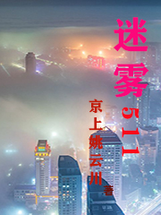 迷雾511