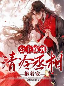 公主嫁到：清冷丞相抱着宠
