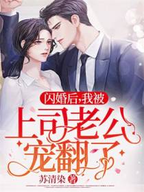 闪婚后,我被上司老公宠翻了！