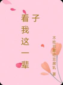 看我这一辈子
