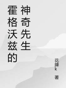 霍格沃兹的神奇先生
