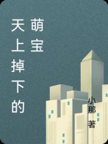 天上掉下的萌宝