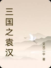 三国之袁汉
