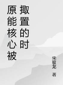 原能核心被掫置的时代
