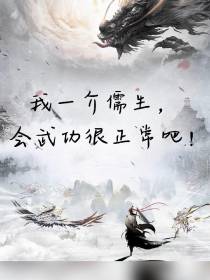 我一介儒生,会武功很正常吧！