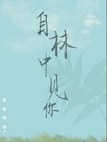 自林中见你