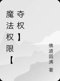魔法权限【夺权】