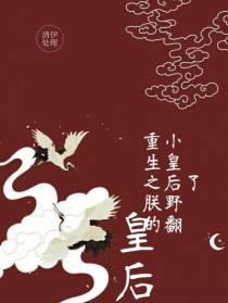 重生之朕的皇后野翻了