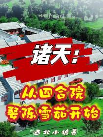 诸天：从四合院娶陈雪茹开始