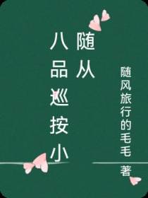 八品巡按小随从