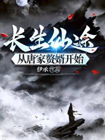 长生仙途：从唐家赘婿开始
