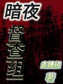 暗夜督查组