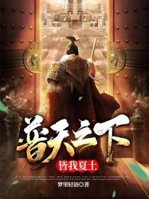 普天之下,皆我夏土