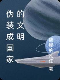 伪装成国家的文明