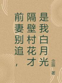 前妻别追,隔壁村花才是我白月光