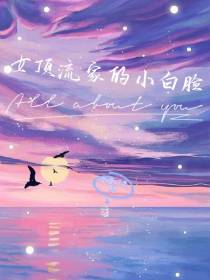 女顶流家的小白脸