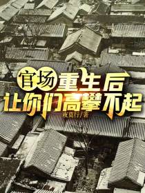 官场：重生后,让你们高攀不起