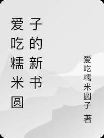 爱吃糯米圆子的新书