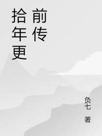 拾年更 前传