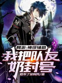 网游：神级辅助,我把队友奶封号