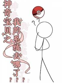 神奇宝贝之我的系统去哪了？？？