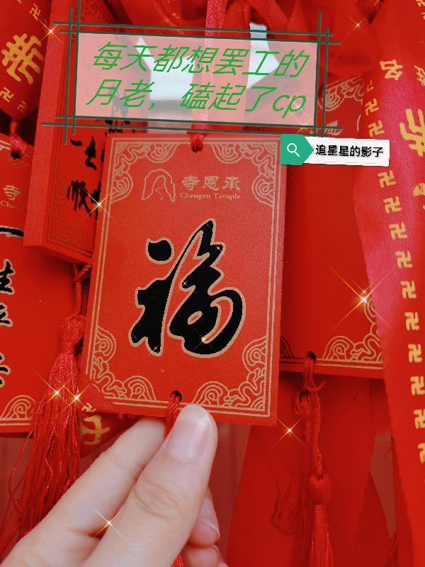 每天都想罢工的月老,磕起了cp