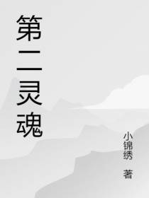 第二灵魂
