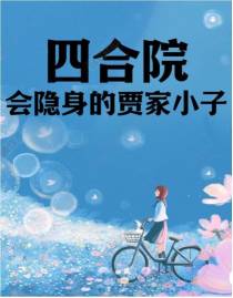 四合院：会隐身的贾家小子