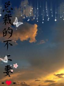 总裁的不二妻