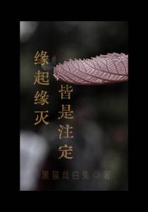 缘起缘灭,皆是注定