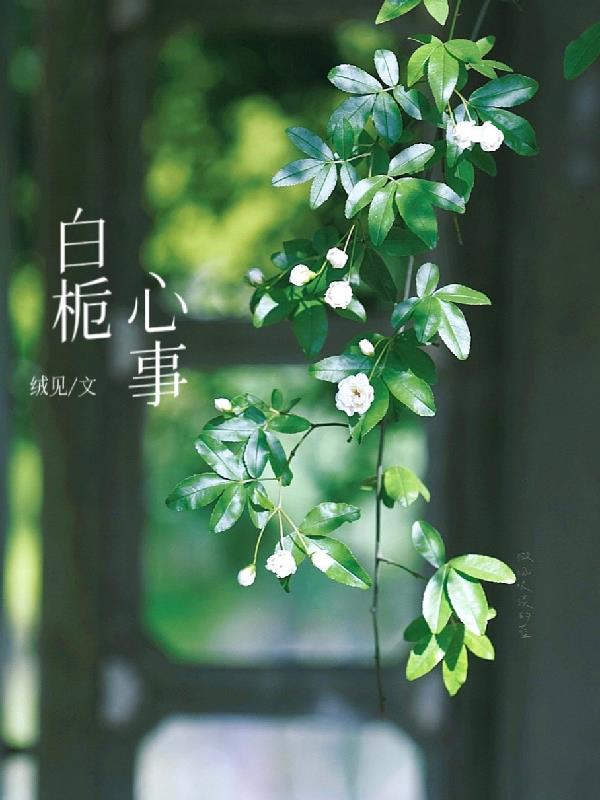 白栀心事