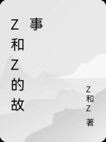 Z和Z的故事