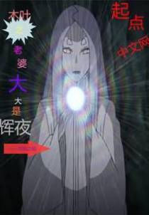 木叶之老婆大大是辉夜