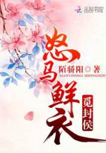 怒马鲜衣觅封侯