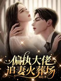 偏执大佬追妻火葬场
