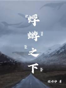 蜉蝣之下