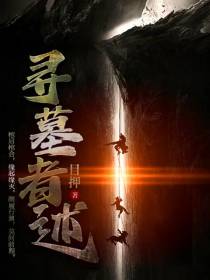 寻墓者述
