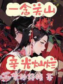 一念关山：辛光灿烂