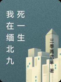 我在缅北九死一生