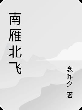 南雁北飞