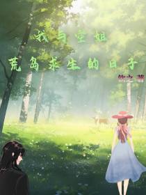 我与空姐荒岛求生的日子