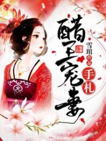 醋王宠妻手札