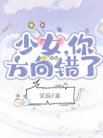 少女你方向错了