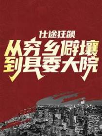 仕途狂飙：从穷乡僻壤到县委大院