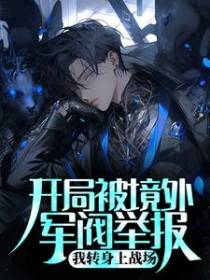 开局被境外军阀举报，我转身上战场