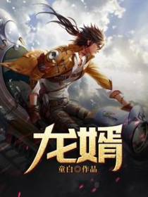 龙婿