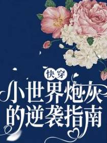 快穿：小世界炮灰的逆袭指南